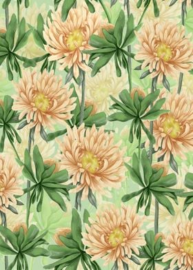 Aster Flower Pattern 02