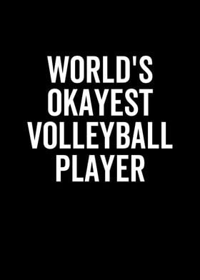 Worlds Okayest Volleyball