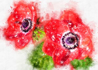 red anemone watercolor