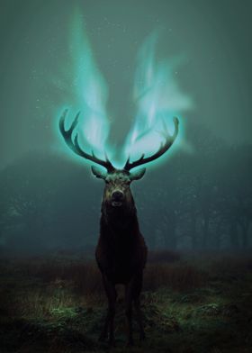 Mystical Moose