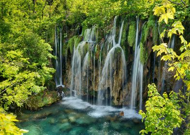 waterfall forest