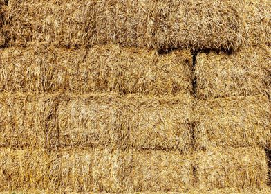 Hay bale wall