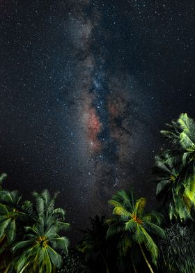 The Milky Way