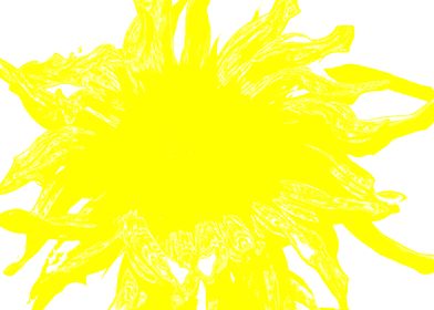 Just a sunflower