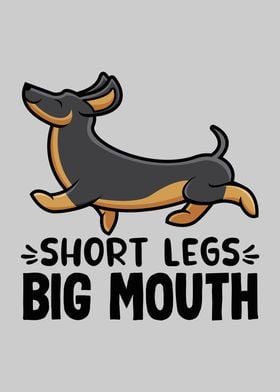 Sausage Dog Short Legs