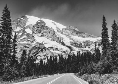 Mt Rainier Paradise road