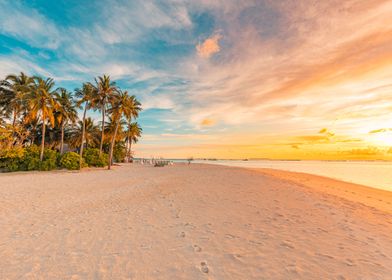  tropical beach and sea