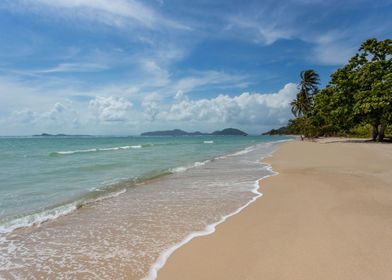 Tropical Beach of summer