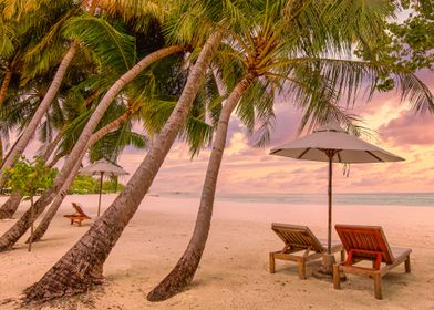  tropical beach and sea