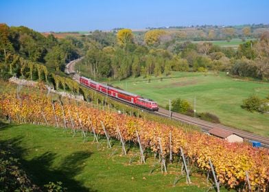 Autumnal Neckar valley