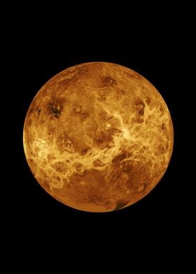 Venus