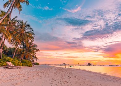 Tropical Beach of summer