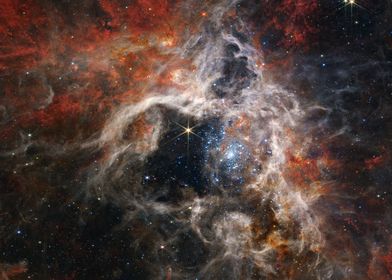 Tarantula Nebula