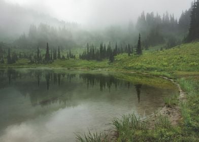 Hills in the mist