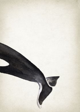 Killer whale Tail