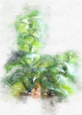 Succulent Plant watercolor