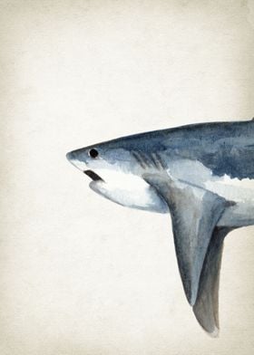 Thresher Shark Art Part 1