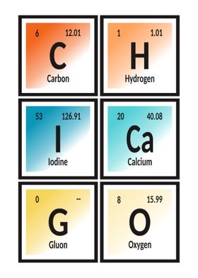 Element of Chicago City