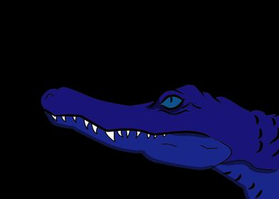 Blue Croc
