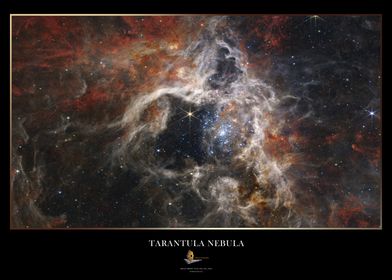 Tarantula Nebula