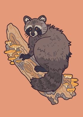 Raccoon on a log