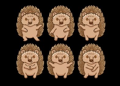 Cute Hedgehog Gift Women