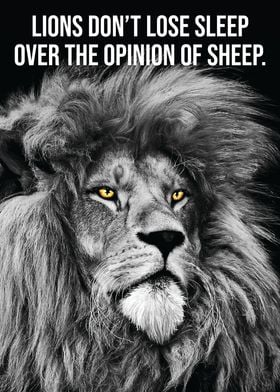 'Lions vs Opinion Of Sheep' Poster by CHAN | Displate