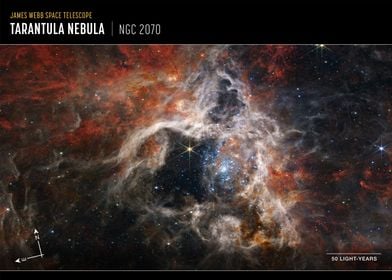 Tarantula Nebula Webb