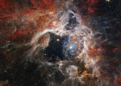 Tarantula Nebula JWST