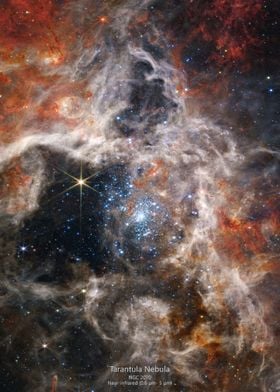 Tarantula Nebula JWST