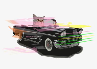 Impala Cat