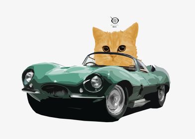 Cat Driving Vintage Car