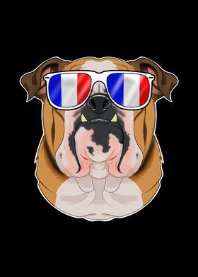 English Bulldog France