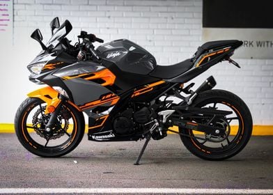 kawasaki ninja