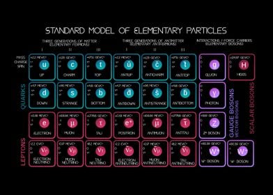 The Standard Model