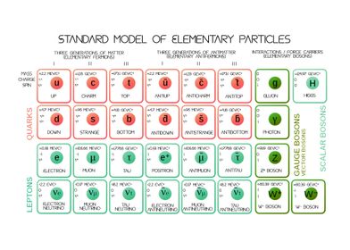 The Standard Model