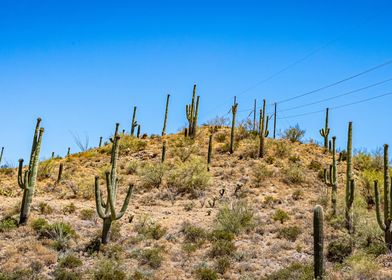 Apache Trail Scenic Drive