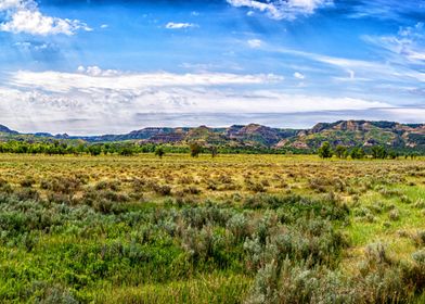 Theodore Roosevelt Park