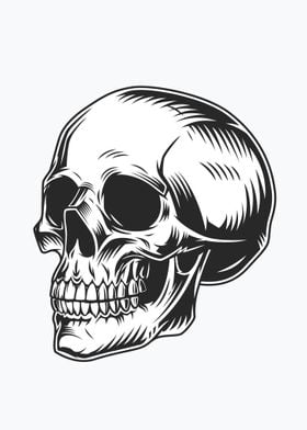 human skull monochrome