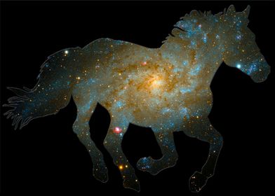 Running Outer Space Horse