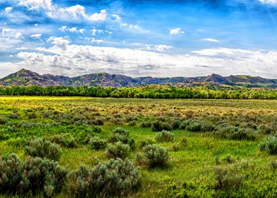 Theodore Roosevelt Park