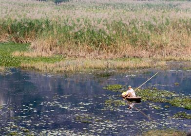 Fishing on the lagoon