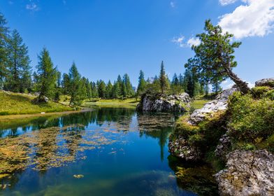 Croda da Lago Dolomites