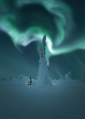 Aurora Winter Wonderland
