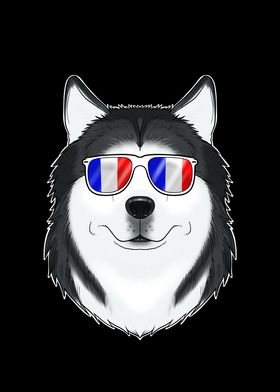 Husky France Sunglasses