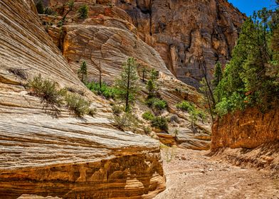 Lick Wash Trail Hike