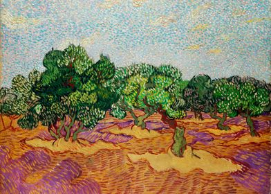 Olive Trees 1889 van Gogh