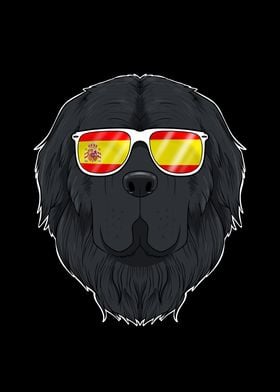 Newfoundland I Spain