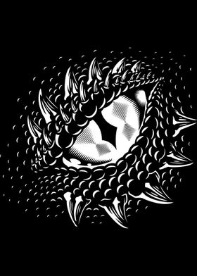 Monochrome dragon eye