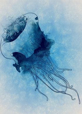 Transparent Jellyfish